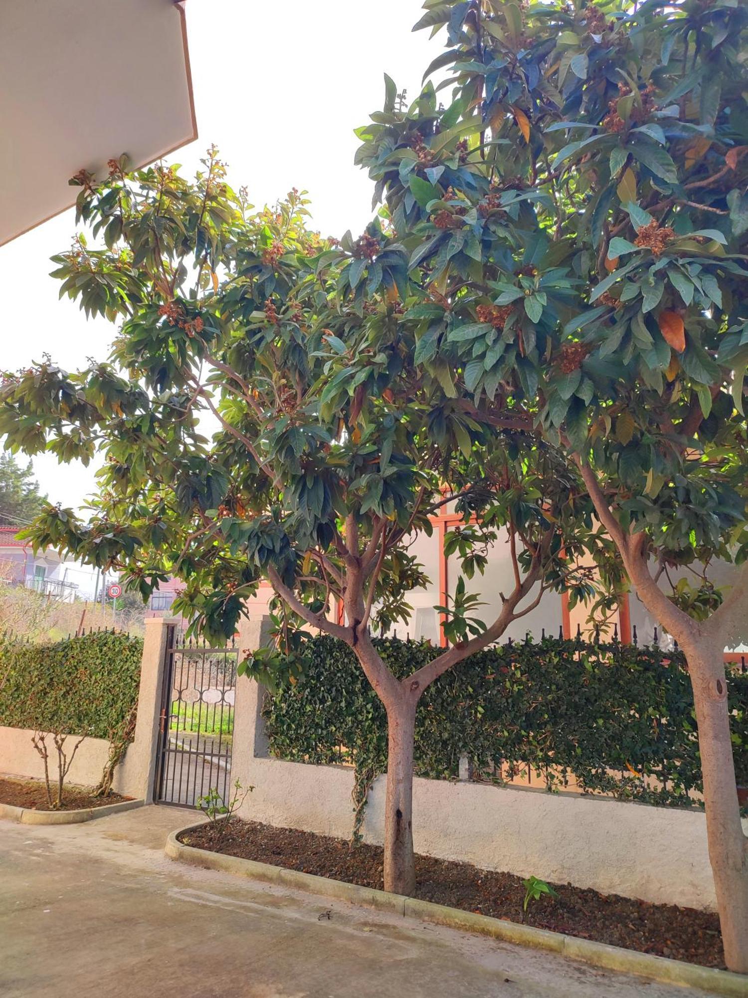 Bp Beach Apartments Golem  Εξωτερικό φωτογραφία
